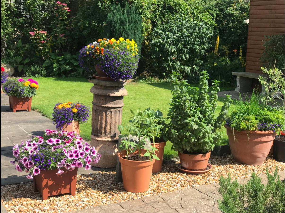 Bed and Breakfast 17 Burgate Pickering Esterno foto